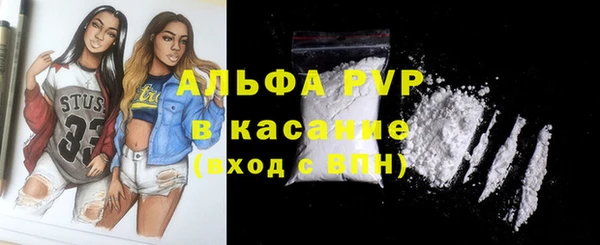 твердый Козельск