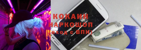 твердый Козельск