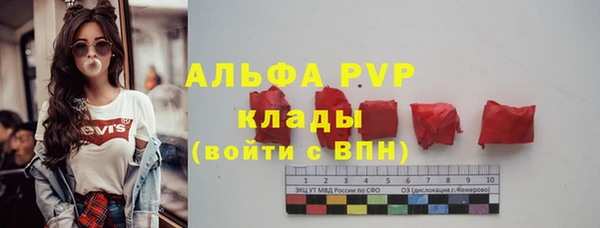 твердый Козельск