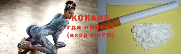 твердый Козельск