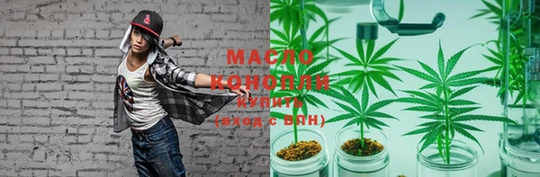 твердый Козельск