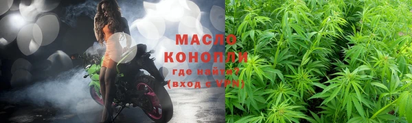 твердый Козельск